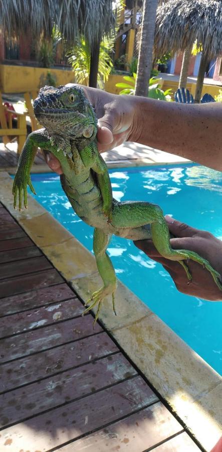 Hotel Pez De Oro Monterrico Dış mekan fotoğraf